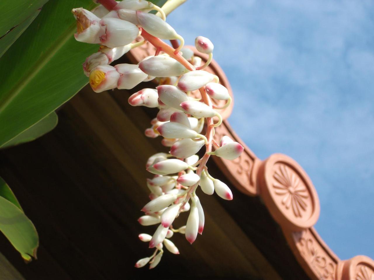 Akachichi Guesthouse Онна Екстериор снимка